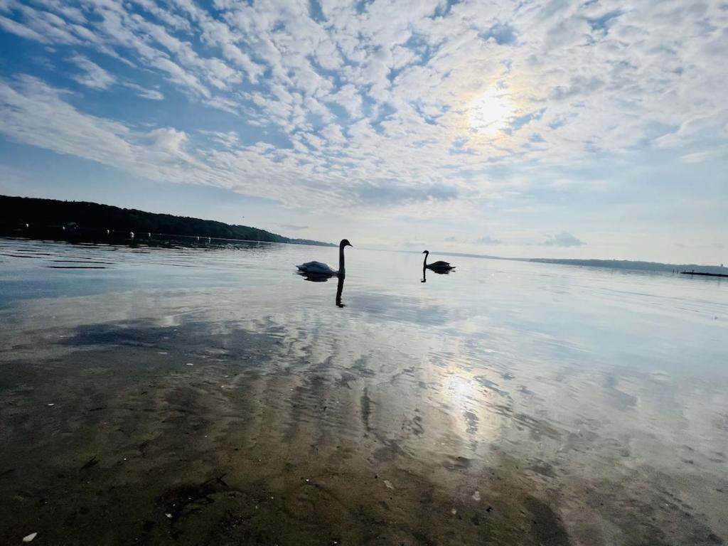 'Kapitaenslounge' Vollsanierte Fewo Mit Blick Auf Die Flensburger Foerde Harrislee Dış mekan fotoğraf